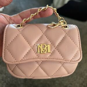 Bagley Mischa Mini purse NWT